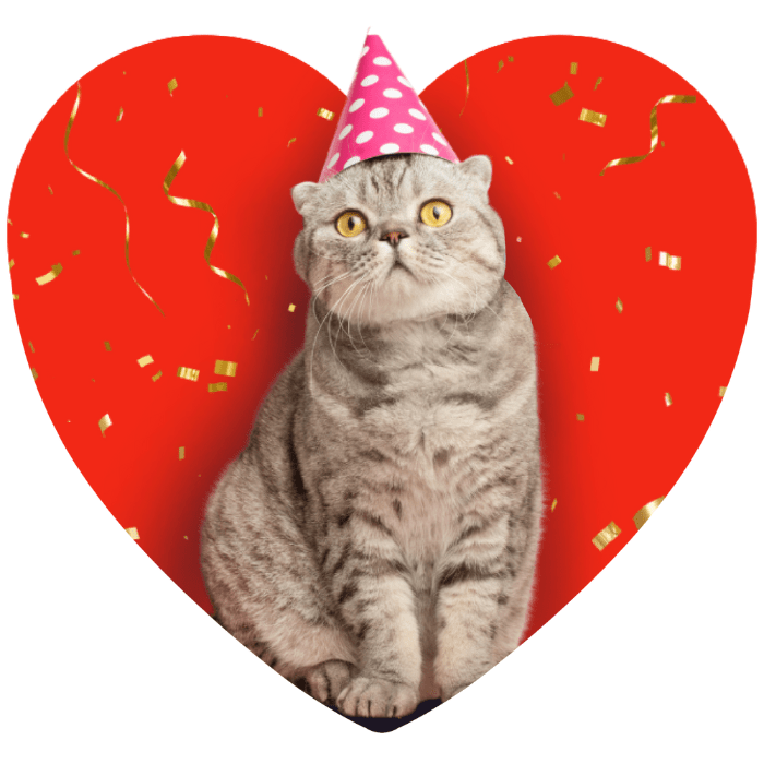 Birthday