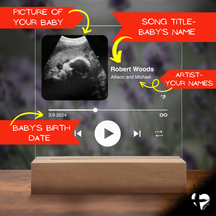 Baby Birth Announcement Song Plaque HGF#344AP Jewelry