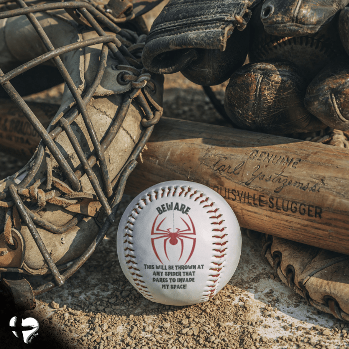 Beware of Spiders - Custom Baseball HGF#319BB Sports 