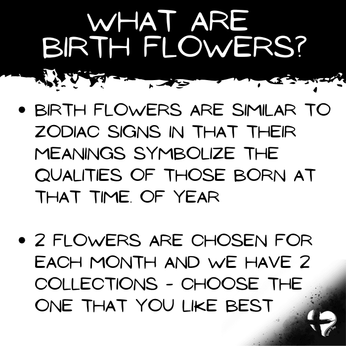 Birth Month Flower Collection 2 - Personalized Heart Plaque Jewelry 
