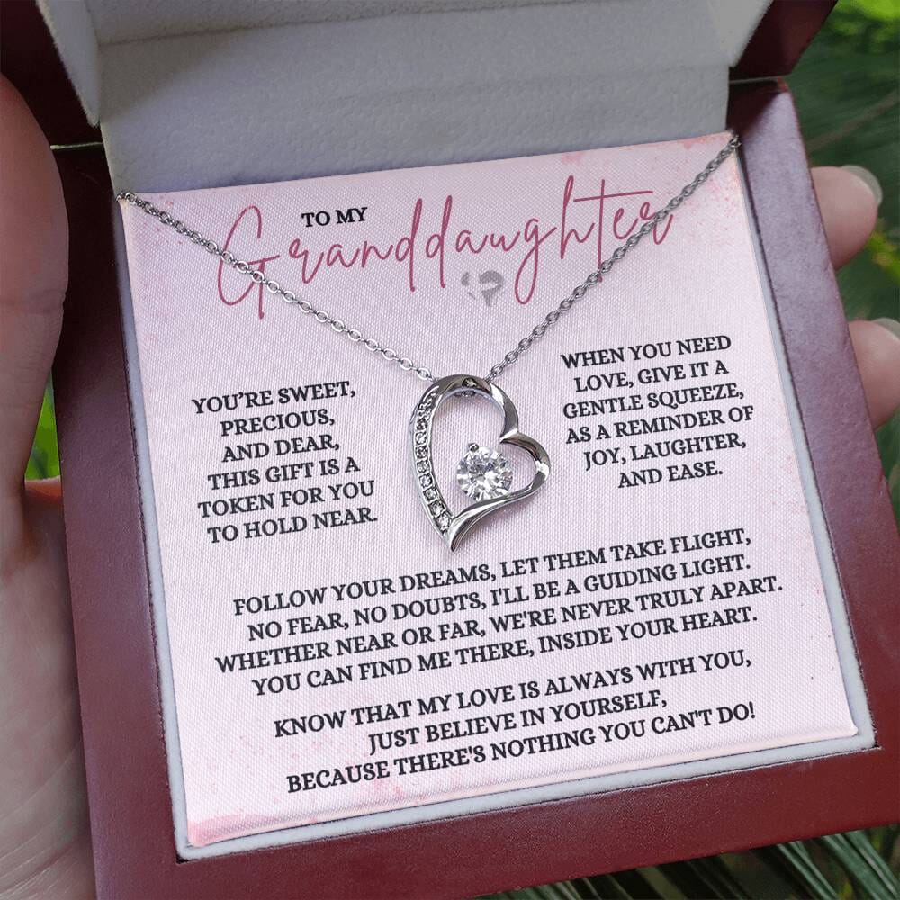 Granddaughter - Precious & Dear - Love Heart Necklace HGF#361FL Jewelry 14k White Gold Finish Luxury LED Lighted Box 