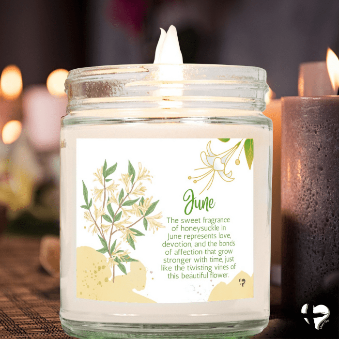 June Honeysuckle - Birth Month Flower - Soy Candle HGF#269SC Candles Cinnamon Stick 