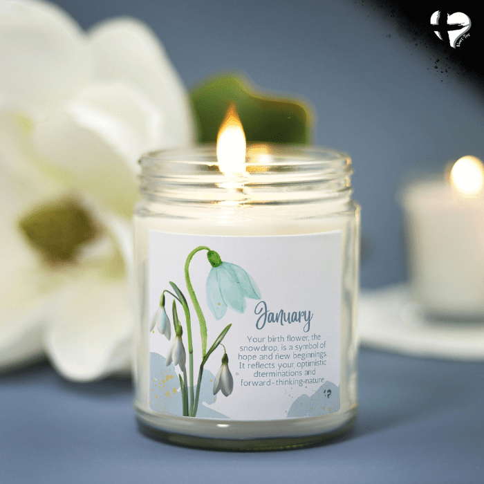 January Snowdrop - Birth Month Flower - Soy Candle HGF#258SC Candles Vanilla 