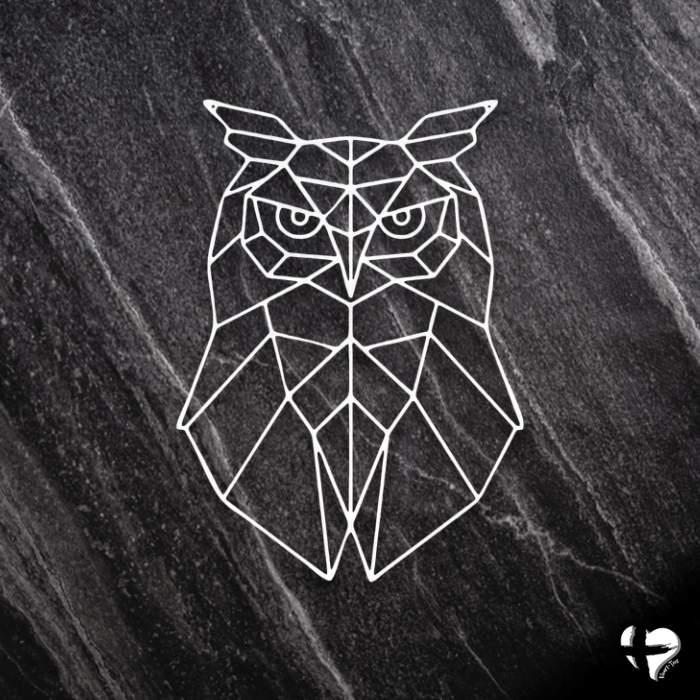 Geometric Owl Gifts Custom White 12" 